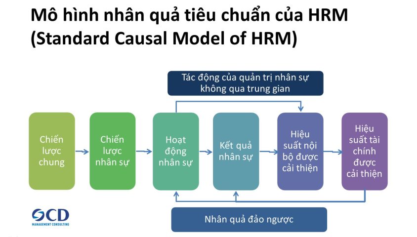 Mô hình nhân quả tiêu chuẩn của HRM