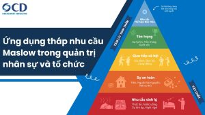 Ứng dụng tháp nhu cầu Maslow trong quản trị nhân sự và tổ chức