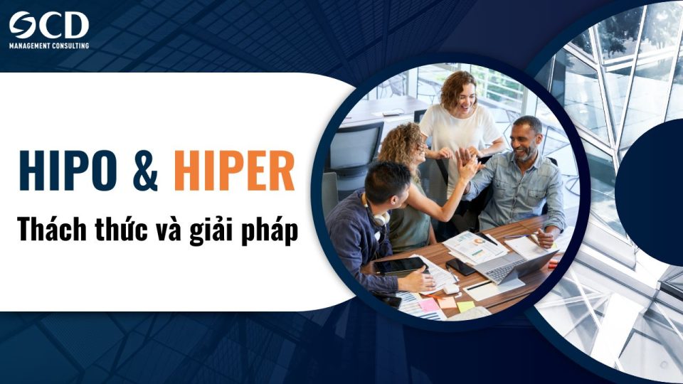 HiPo và HiPer là gì? Những thách thức và giải pháp trong quản lý HiPo và HiPer