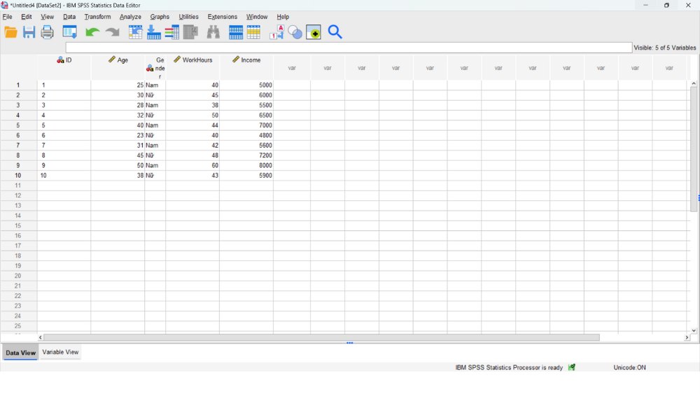 giao diện phần mềm spss