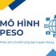 mô hình peso phân tích chi tiết từng loại truyền thông