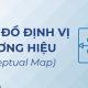 bản đồ định vị thương hiệu perceptual map là gì