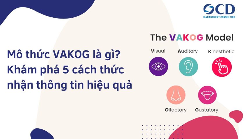 Mô thức VAKOG là gì? Khám phá 5 cách thức nhận thông tin hiệu quả