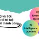 IQ, EQ và SQ: Ba yếu tố trí tuệ bạn cần để thành công