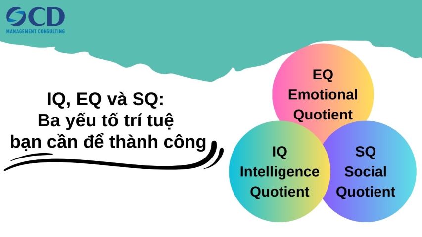 IQ, EQ và SQ: Ba yếu tố trí tuệ bạn cần để thành công