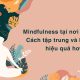 Mindfulness tại nơi làm việc: Cách tập trung và làm việc hiệu quả hơn