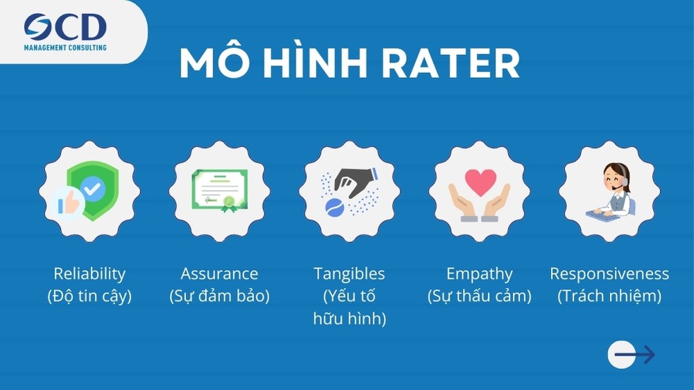 5 yếu tố chính trong mô hình rater