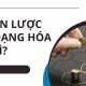 chiến lược đa dạng hóa là gì