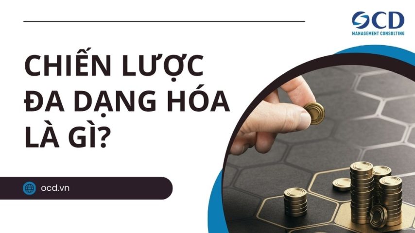 chiến lược đa dạng hóa là gì