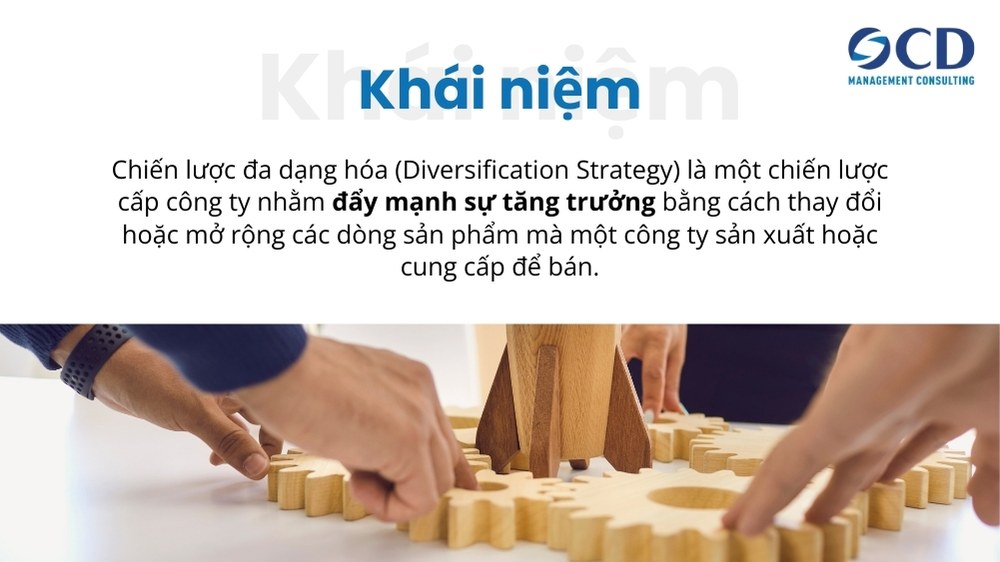 khái niệm chiến lược đa dạng hóa