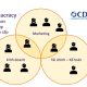 Holacracy - Tổ chức không phân cấp