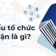 cơ cấu tổ chức là gì