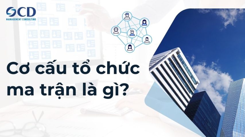 cơ cấu tổ chức là gì