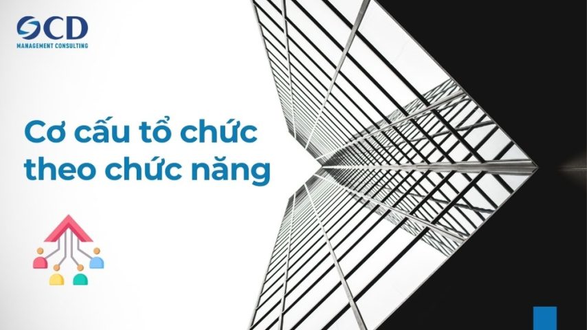 cơ cấu tổ chức theo chức năng