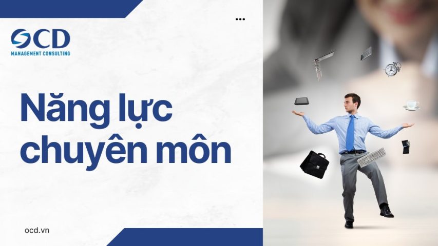 năng lực chuyên môn là gì