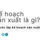 kế hoạch sản xuất