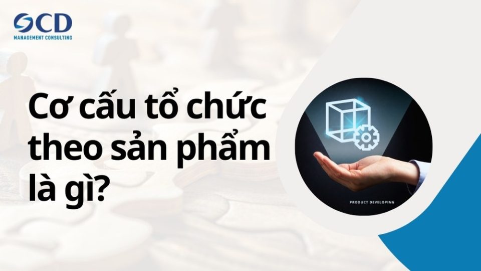 cơ cấu tổ chức theo sản phẩm là gì