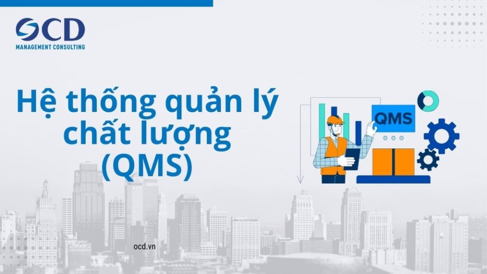 hệ thống quản lý chất lượng qms