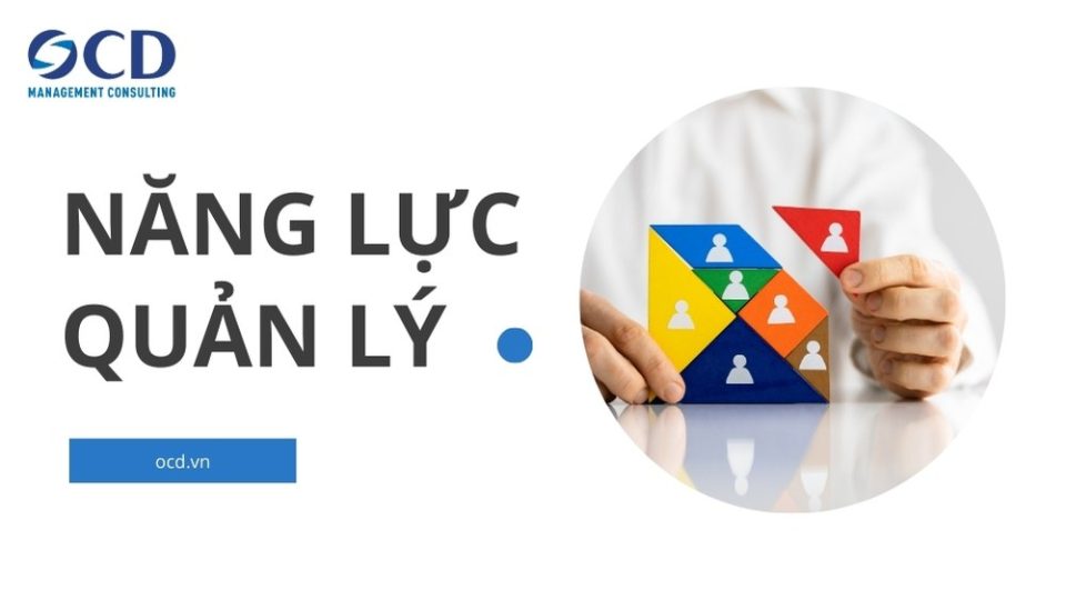 năng lực quản lý