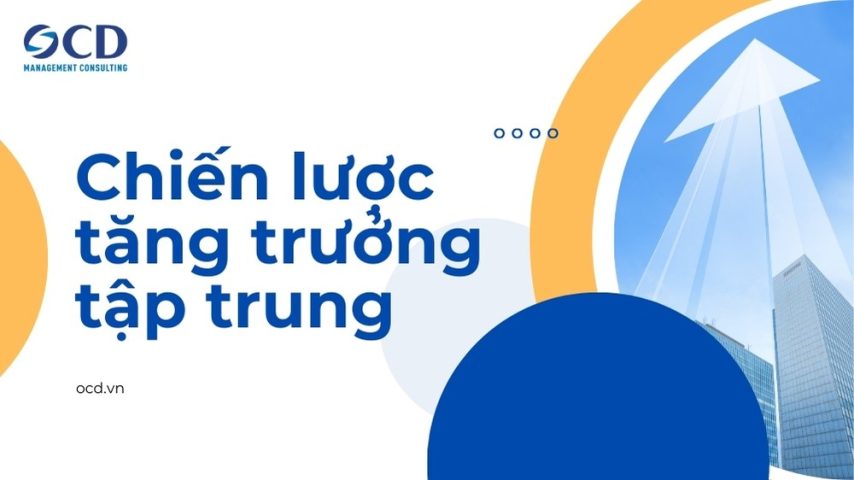 chiến lược tăng trưởng tập trung