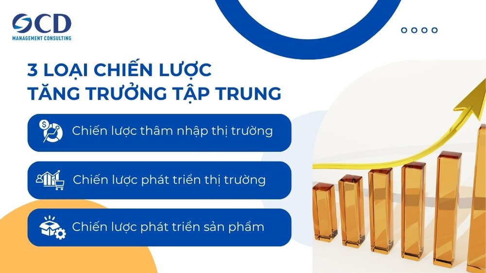 3 loại chiến lược tăng trưởng tập trung