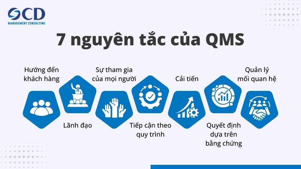 nguyên tắc của qms