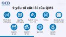 QMS là gì? Tổng quan về hệ thống quản lý chất lượng - Công ty Tư vấn ...