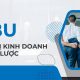 sbu đơn vị kinh doanh chiến lược