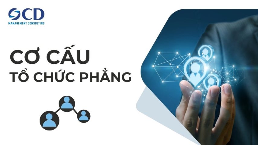 cơ cấu tổ chức phẳng