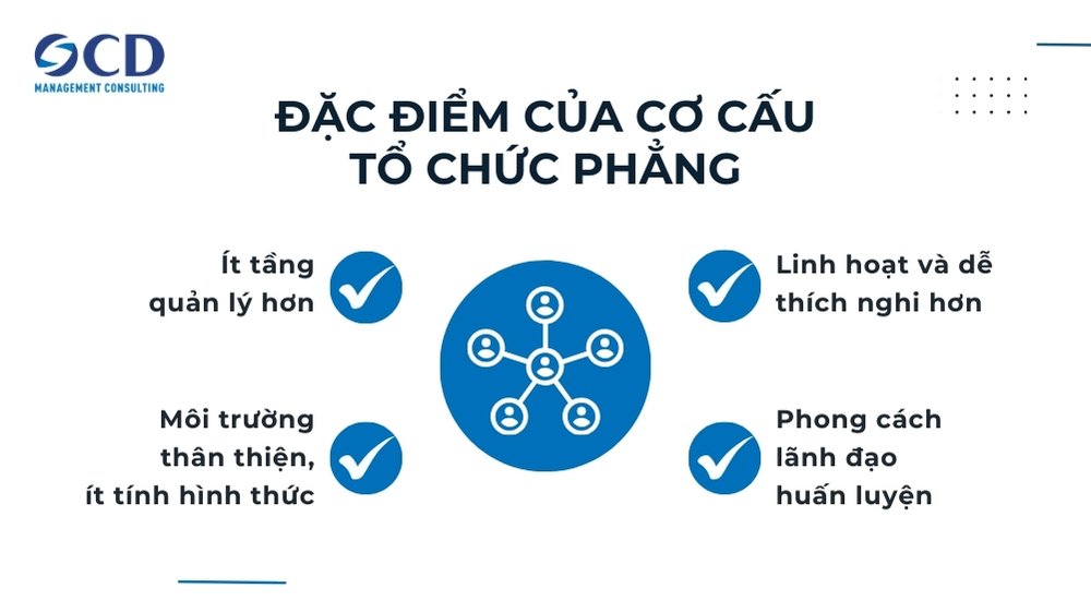 đặc điểm của cơ cấu tổ chức phẳng