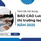 báo cáo lương và thị trường lao động năm 2025