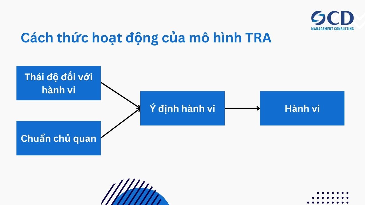 Cách thức hoạt động của mô hình TRA