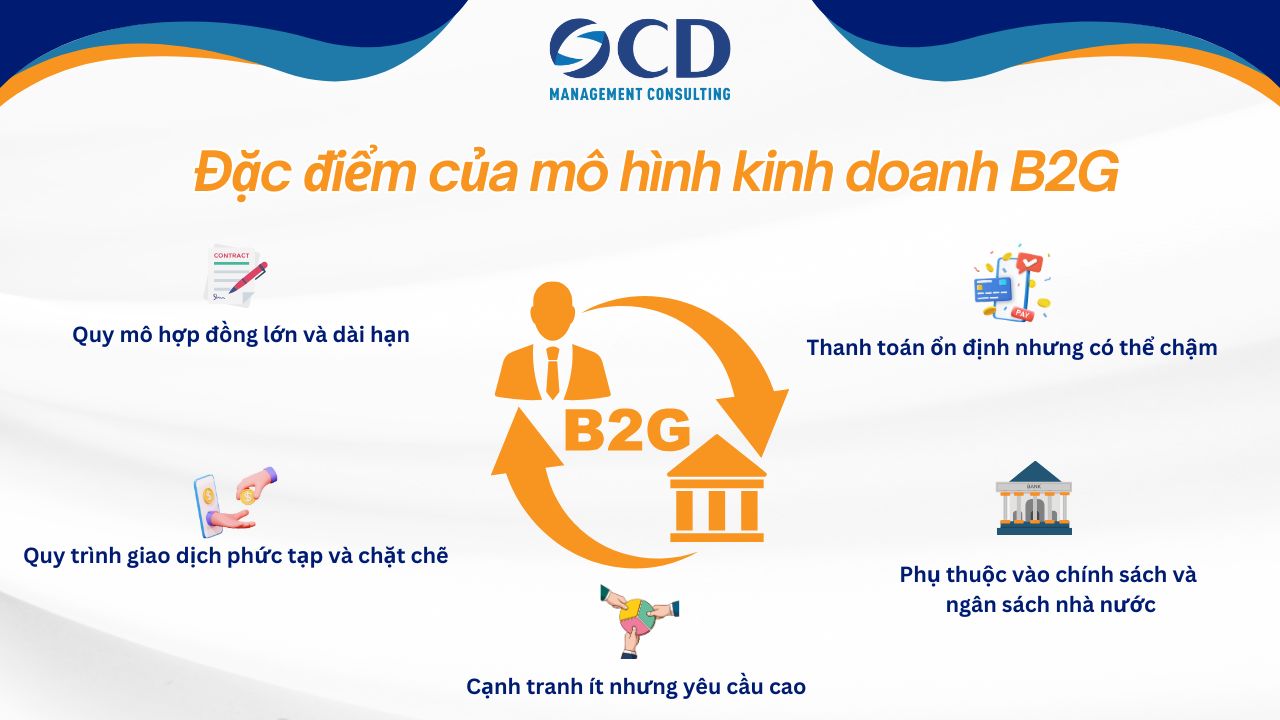 Đặc điểm của mô hình kinh doanh B2G