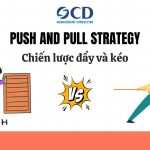 Chiến lược push and pull là gì? Ứng dụng trong kinh doanh và marketing