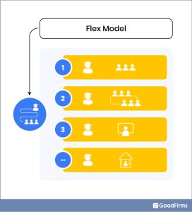 Mô hình linh hoạt (Flex model)