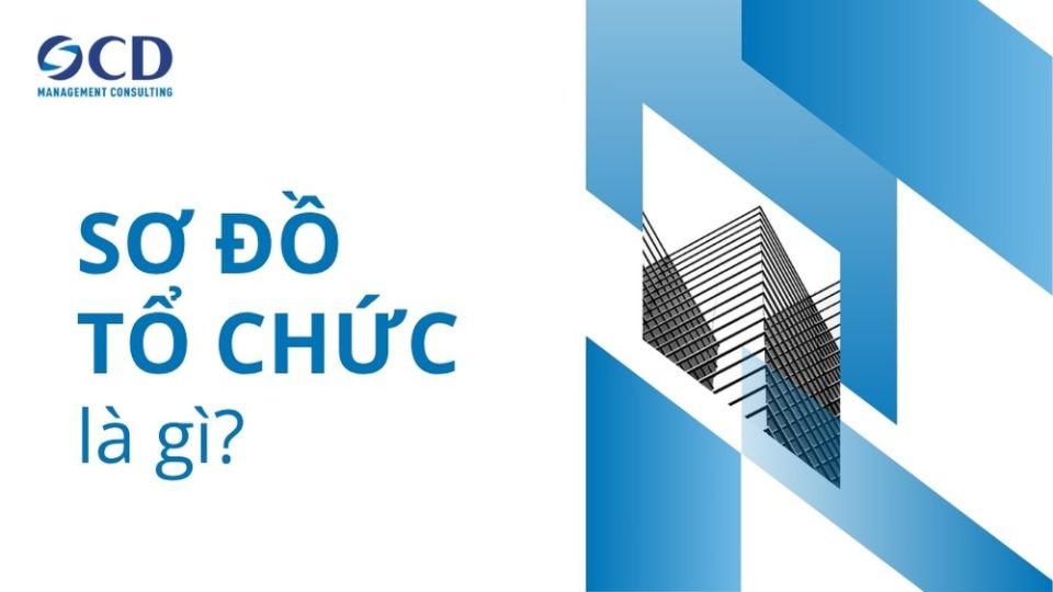 sơ đồ tổ chức là gì