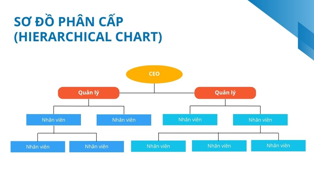 sơ đồ tổ chức phân cấp