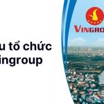 cơ cấu tổ chức của vingroup