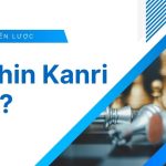 hoshin kanri là gì