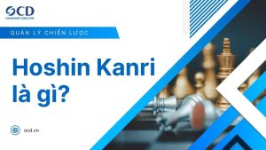 hoshin kanri là gì