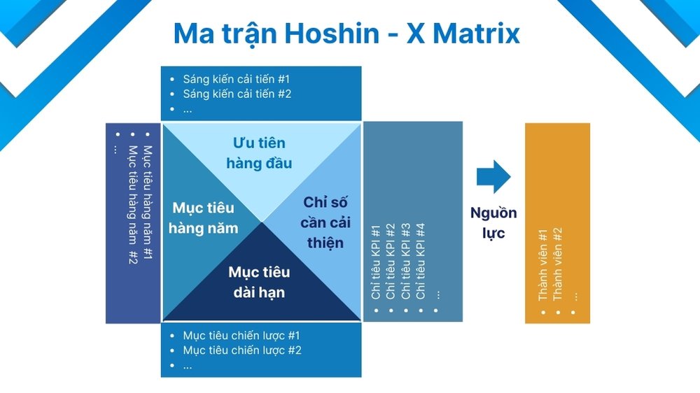 ma trận hoshin x matrix