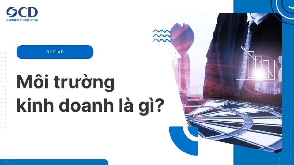 môi trường kinh doanh là gì