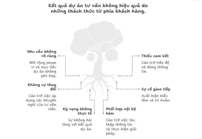 Thách thức của dự án tư vấn từ phía khách hàng