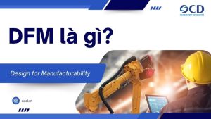 dfm là gì
