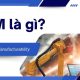 dfm là gì
