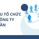cơ cấu tổ chức của công ty cổ phần