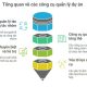 Các công cụ quản lý dự án