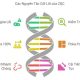 Các nguyên tắc cốt lõi của ZQC