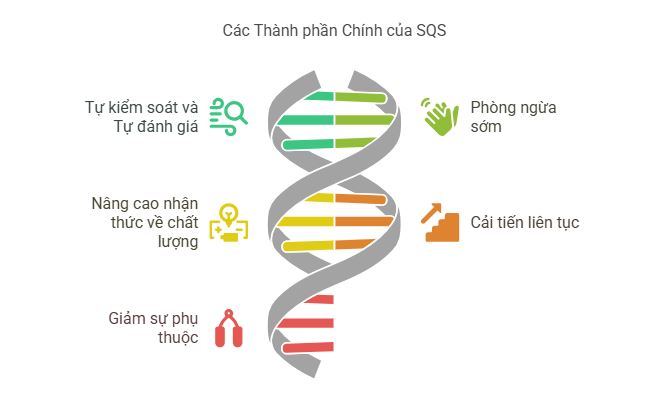 Các thành phần chính của Hệ thống Chất lượng Tự thân SQS