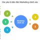 Phân tích chân dung người dùng và Marketing chính xác
